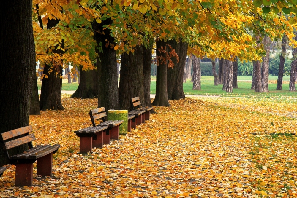 VRIJEME: Tokom dana sunčano i toplo, predveče naoblačenje