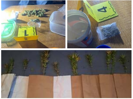 DOBOJ: Akcija kodnog naziva "Kop", u Stanarima zaplijenjena droga