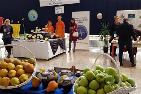 DOBOJ: Obilježen Međunarodni dan zdrave hrane