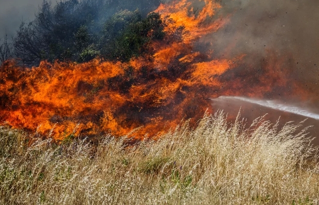 DOBOJ: Jedno lice smrtno stradalo prilikom paljenja niskog rastinja na zemljišnoj parceli
