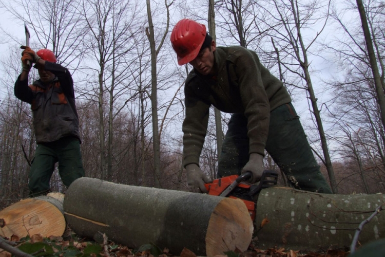 DOBOJ: Isplatiti plate radnicima šumskog gazdinstva