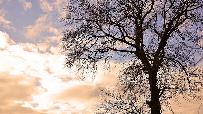 VRIJEME: Na sjeveru i zapadu toplije, na jugu i istoku svježije