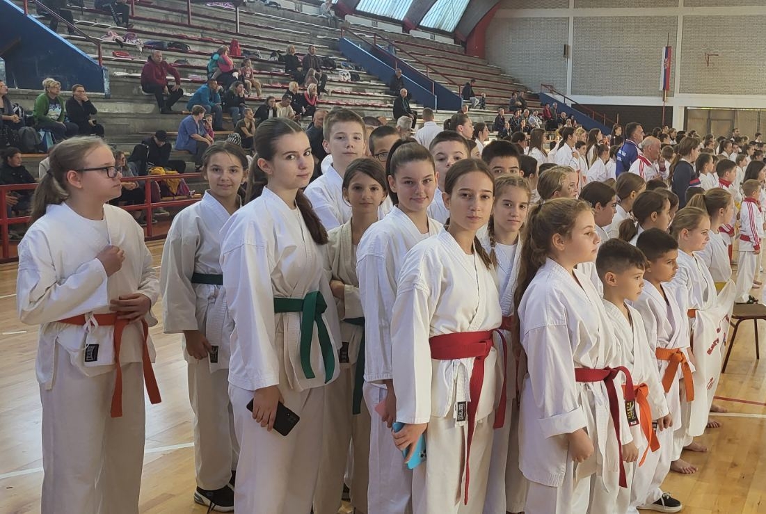APATINSKI KARATE KUP 2023: Karate lub "Vila" osvojio petnaest medalja