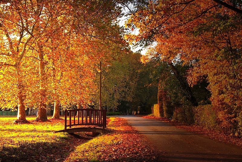 VRIJEME: Topao prvi novembarski dan