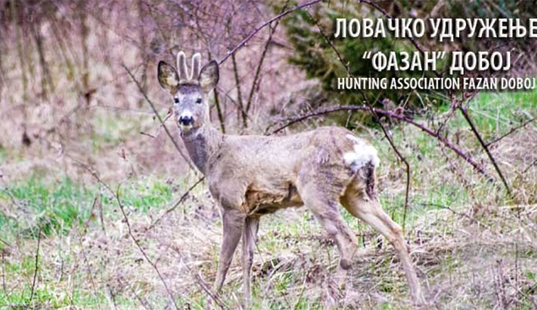 DOBOJ: Sutra “Vučiji dani na Ozrenu”