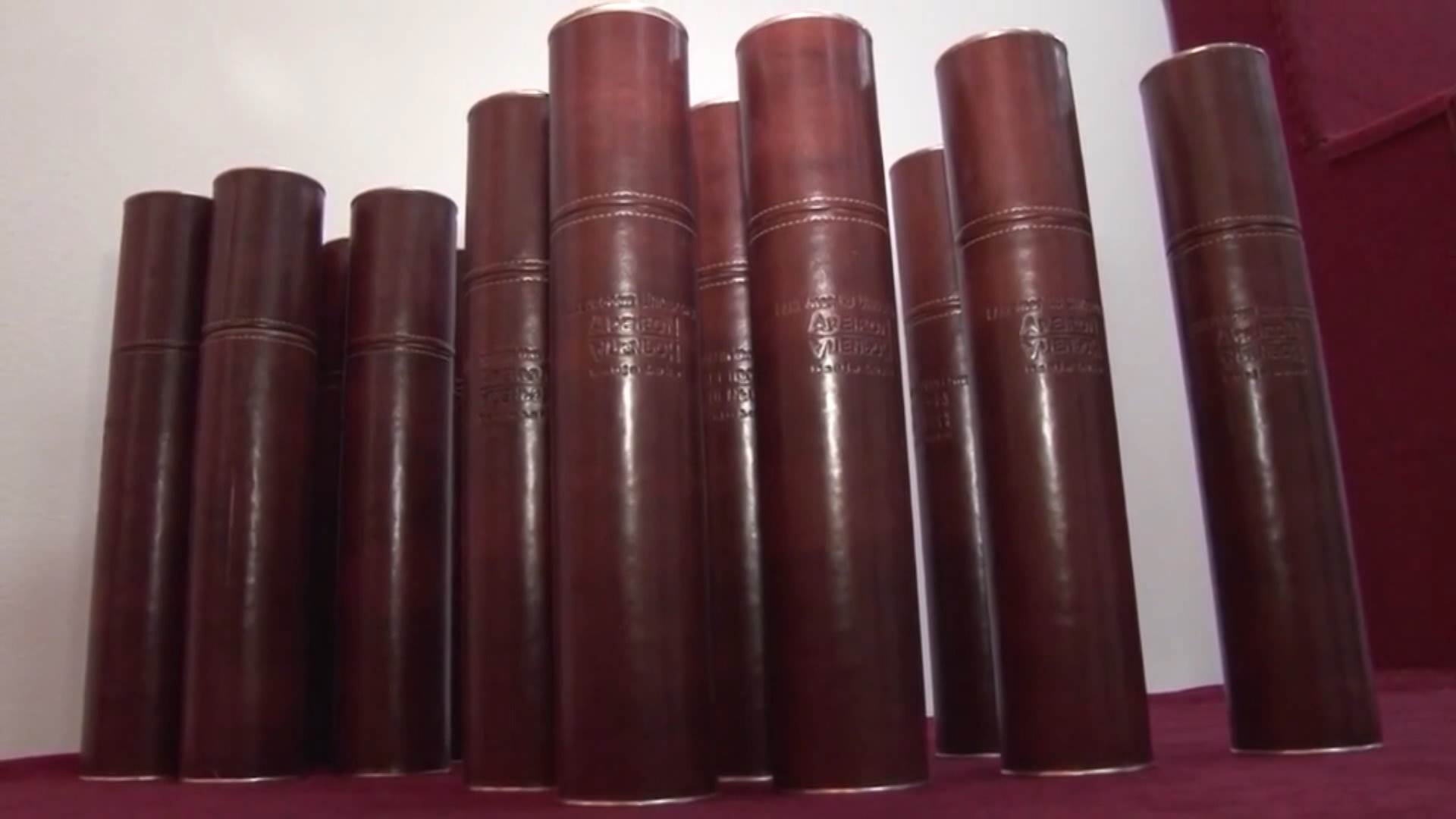 Ko provjerava diplome u Republici Srpskoj (VIDEO)