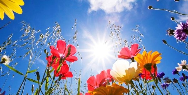 VRIJEME: Danas do 30 stepeni