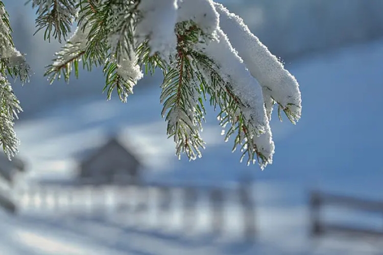 VRIJEME: Tokom dana promjenljivo oblačno uz sunčane periode