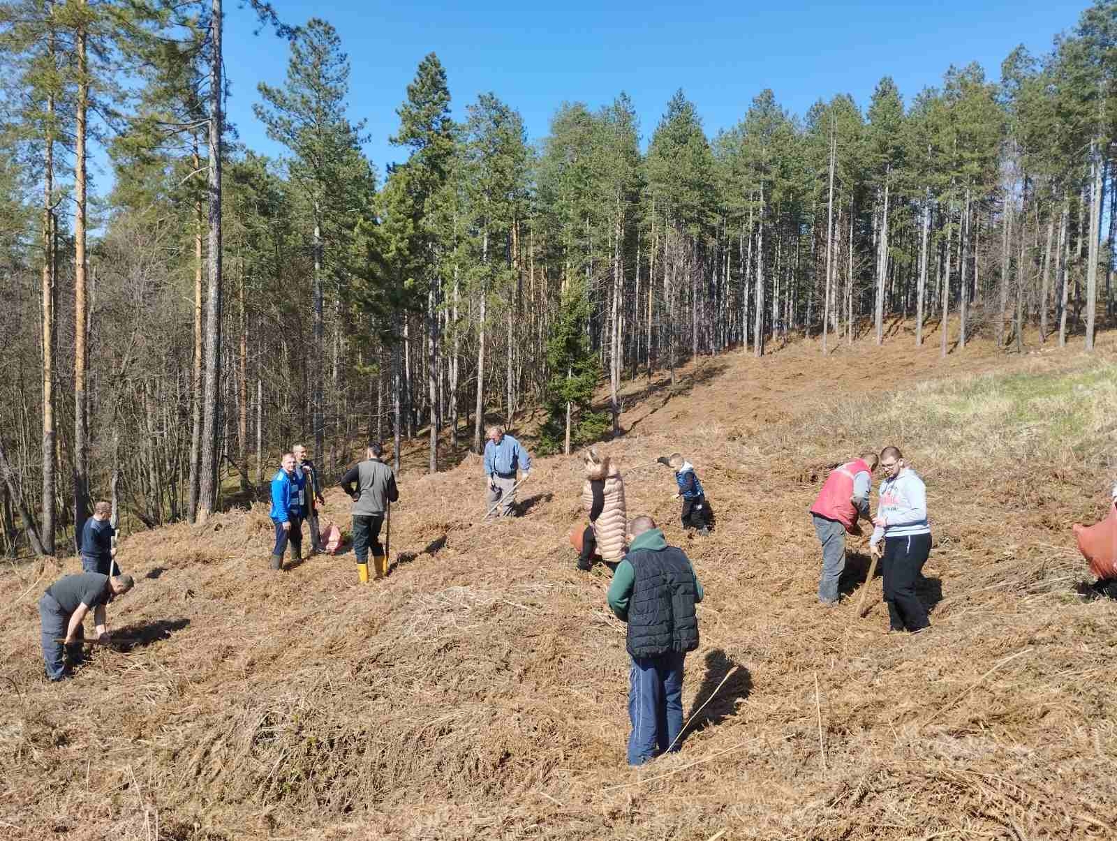 DOBOJ: Pošumljavanje devastirane šume uoči Svjetskog dana šuma. Volonteri na djelu. (FOTO)