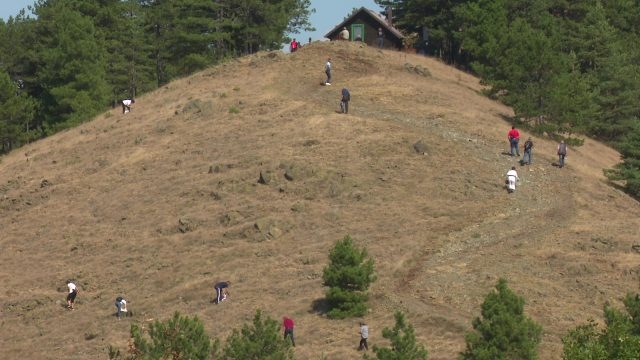 DOBOJ: Održana manifestacija „Branje trave ive“ na Gostilju (VIDEO)