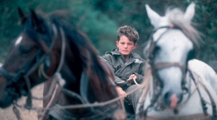 DOBOJSKI INFO NAJAVLJUJE: Predstavljanje knjige i kratkog dokumentarnog filma u spomen mladom heroju Spomenku Gostiću