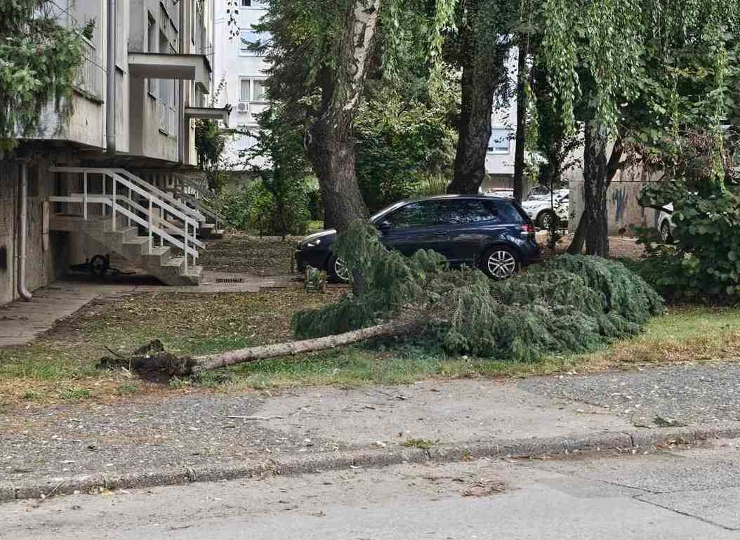 DOBOJ: Podnesena krivična prijava protiv odgovornih za neodržavanje i štetu nastalu padom drveća