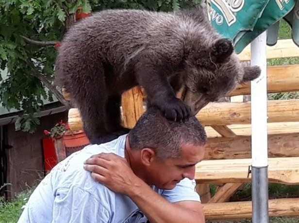 ATRAKCIJA KOD DOBOJA: Maša, mladunče medvjeda gost izletišta (VIDEO)