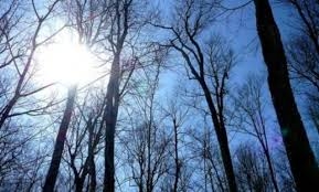 VRIJEME: Toplo za ovo doba godine