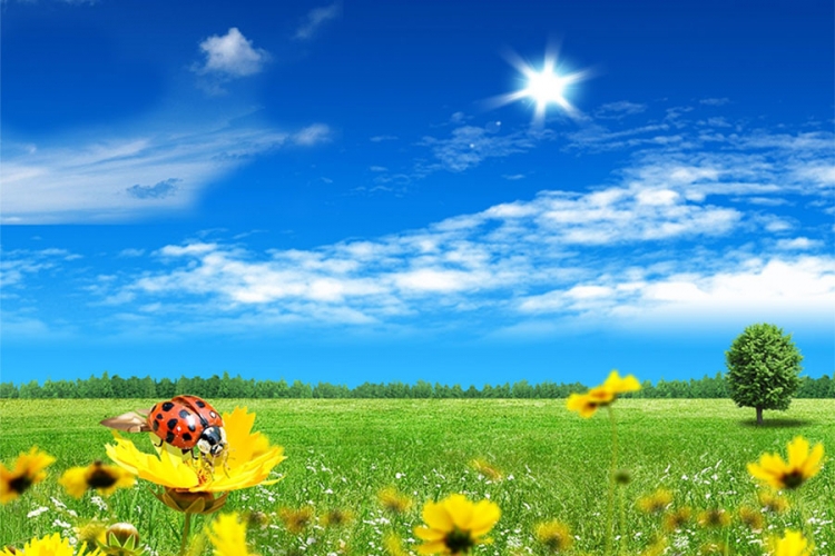 VRIJEME: Sunčano uz temperaturu do 20 stepeni