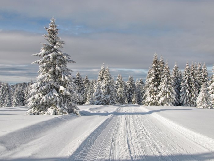 VRIJEME: Danas hladno, na planinama i minus 16