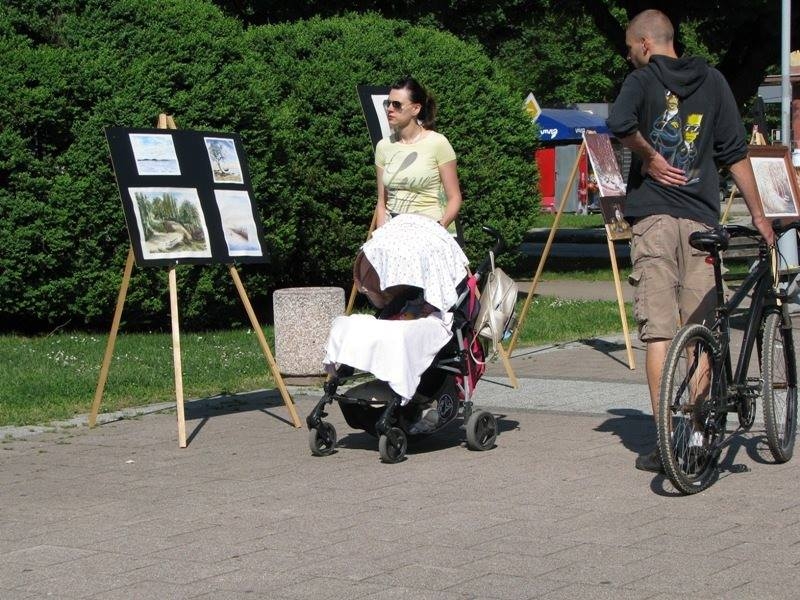 DOBOJ: Obilježen Dan Evrope slikarskom izložbom na otvorenom