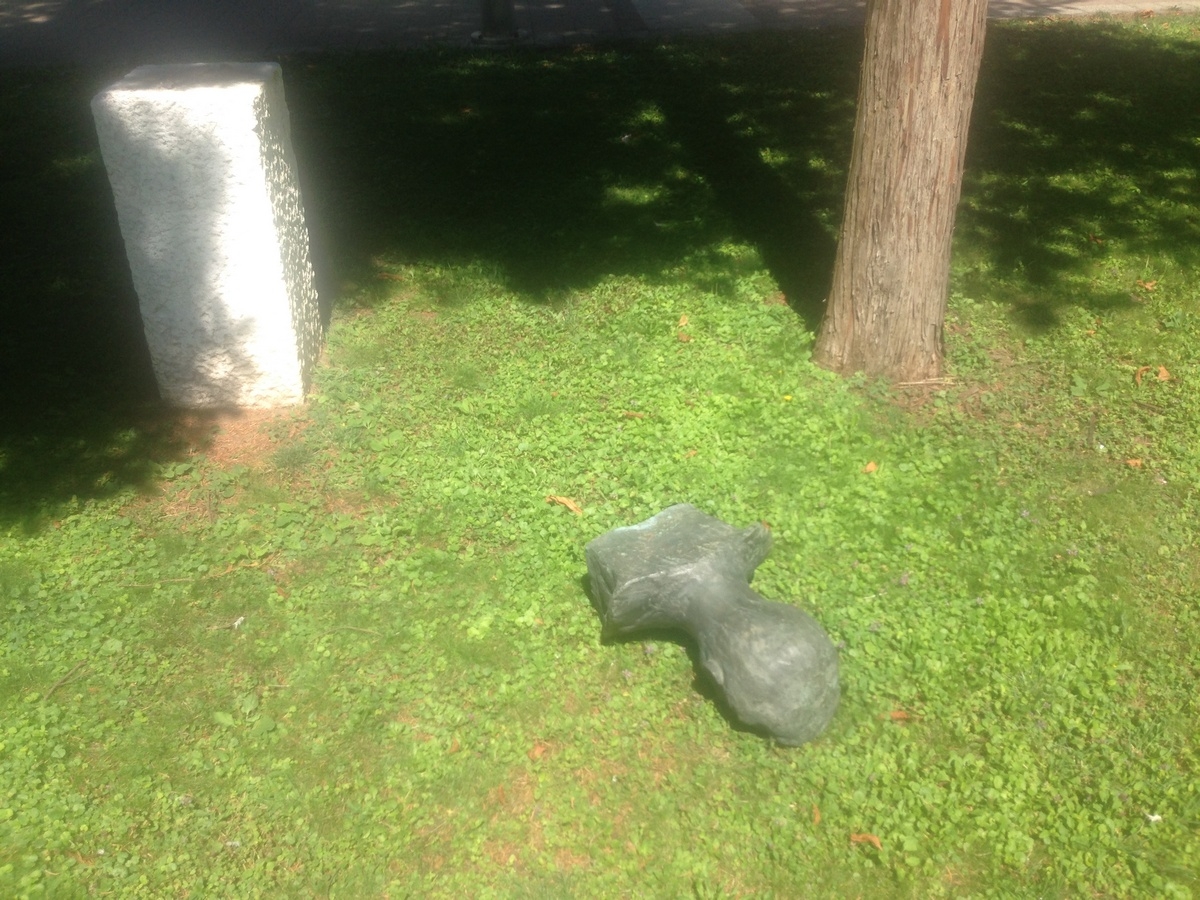 OKOM KAMERE: Vandalizam jedina konstanta ove zaostale sredine (FOTO)