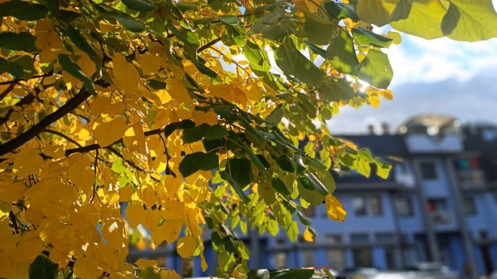 VRIJEME: Sutra toplo uz umjerenu oblačnost