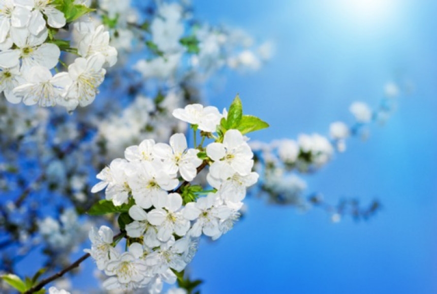 VRIJEME: Danas sunčano i toplo, temperatura do 22 stepena