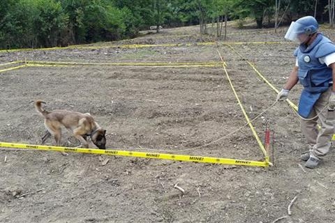 DOBOJ: Norvežani uklanjaju mine u Skipovcu Donjem