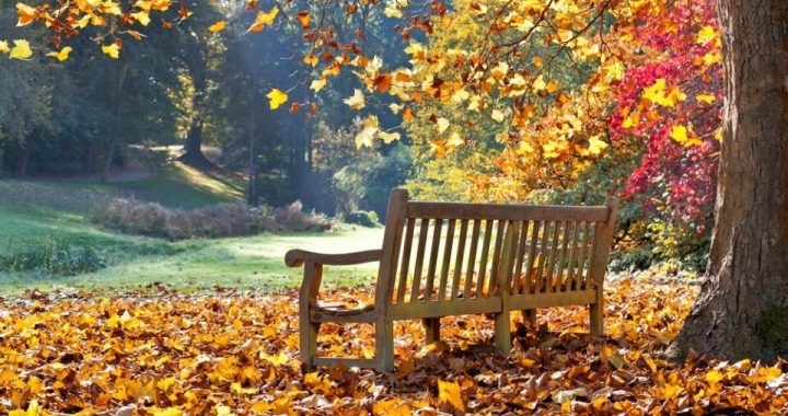 Stiže jesen - biće topla, a ne tmurna